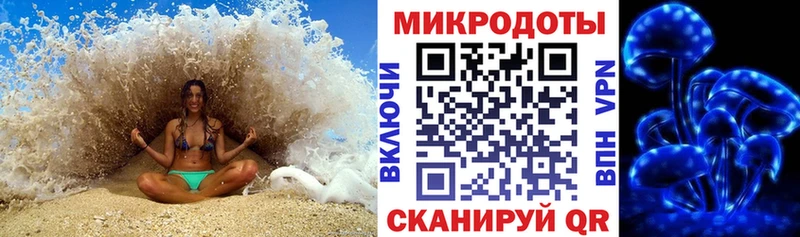 Псилоцибиновые грибы мицелий  как найти   Камбарка 